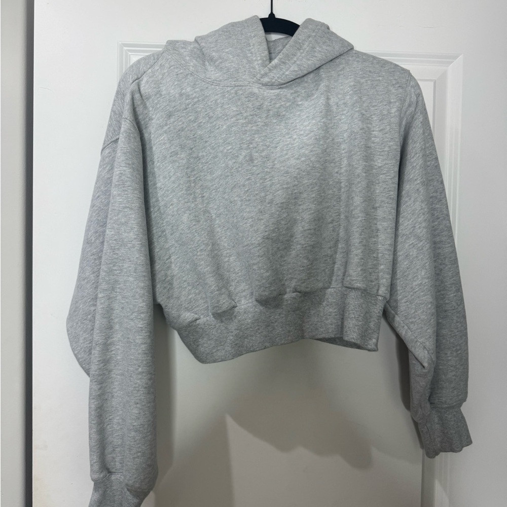 Aritzia cropped grey hoodie